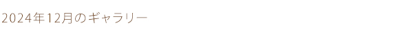 2024年12月のギャラリー