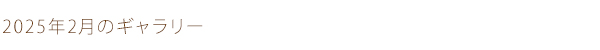 2025年2月のギャラリー