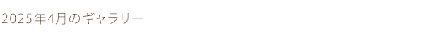 2025年4月のギャラリー
