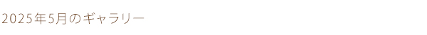 2025年5月のギャラリー