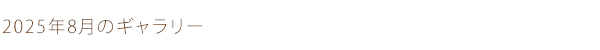 2025年8月のギャラリー