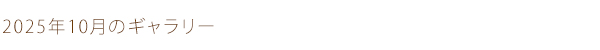 2025年10月のギャラリー