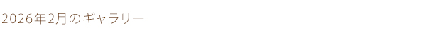2026年2月のギャラリー